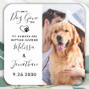 Search for funny pet save the dates Engagement