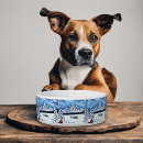 Search for pine pet supplies Evergreen