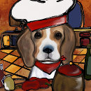 Search for chef pet cards Cook