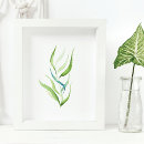 Search for plantes posters Botanical