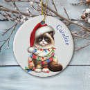 Search for mischievious Christmas holiday