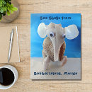 Search for shells vertical postcards Florida