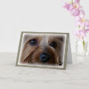 Recherche de yorkie animaux mémoriaux Sympathie