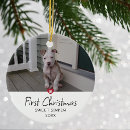 Search for puppy ornaments Modern
