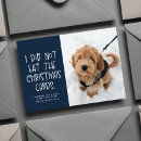 Search for funny photo new years cards Cute