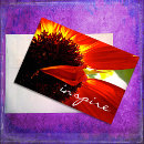 Search for blank inside cards Colourful
