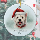 Search for terrier ornaments Watercolor