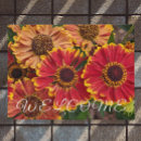 Recherche de helenium Botanique
