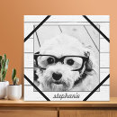Search for sharing art Photography