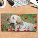Recherche de petits chiens tapis souris Moderne