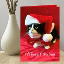 Recherche de tuxedo cat Humour