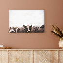 Search for dairy cow canvas prints Rural scene