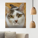 Recherche de chats impressions sur toile Animal