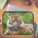 Search for sumatran electronics Tiger