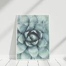 Recherche de sage green posters Succulent