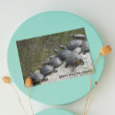 Search for rock birthday cards Turtle