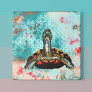 Search for abstract turtle posters Tortoise