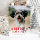 Search for define naughty cards Pet