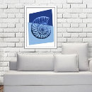 Recherche de spirale posters Coquille