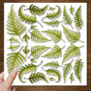 Recherche de vert de fougère autocollants Fouine