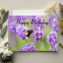 Search for lavender birthday cards Summer