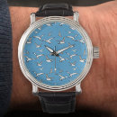 Search for birdwatcher watches Birding