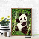 Search for cute bear illustration posters Forest