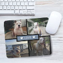 Recherche de photo chien tapis souris Animal de compagnie