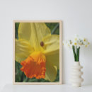 Recherche de de coccinelle posters Floral