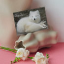 Recherche de joli anniversaire cartes Faune