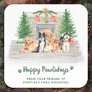 Search for pet grooming stickers Cute