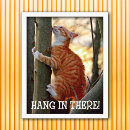 Search for hang in there cat posters Tree