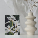 Search for feel photo cards Flower