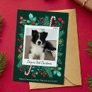 Search for puppy 1st christmas cards Puppy's first christmas