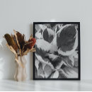 Recherche de nature photography posters Black and white