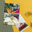 Search for plant christmas cards Floral