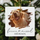 Recherche de sympathy pet memorial ornaments Remembrance