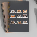 Search for peek a boo cat stickers Cute