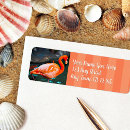 Search for waterfowl return address labels Bird