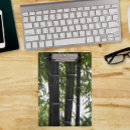 Recherche de bambou photographie Plante