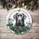 Search for black lab ornaments Animal