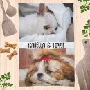 Recherche de chiens mignons cuisine linges Dog