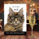Search for maine coon cat birthday cards Humour