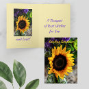 Recherche de v photographie Floral