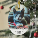 Search for pet gifts Cats