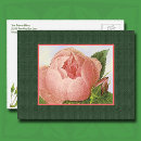Search for returns postcards Vintage