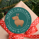 Search for funny reindeer stickers Animal