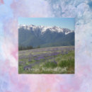 Search for national park tiles Scenic