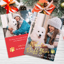 Recherche de chien nouvel an cartes Photo de chien