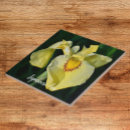 Search for floral tiles Blossom